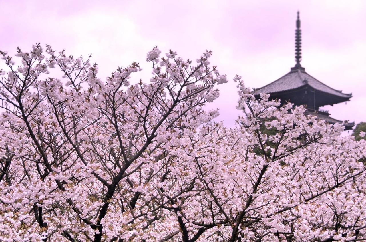 Rejoice Stay Kyoto Nijo Gekko Exterior foto